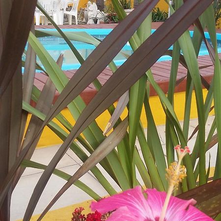 Casa Pousada Rosa Dos Ventos Florianopolis Bagian luar foto